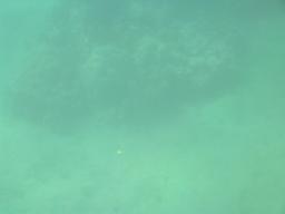 Dec 4 05:52:46 1999