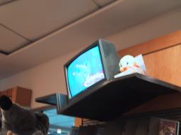 Sep 22 00:02:28 2000