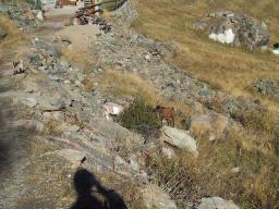 Sep 22 23:59:24 2000