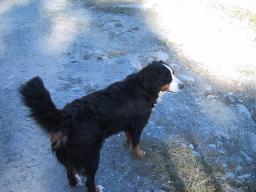 Sep 23 00:00:06 2000