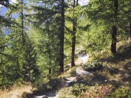 Sep 23 00:06:56 2000