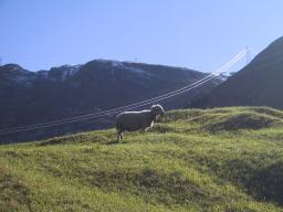 Sep 23 23:37:52 2000