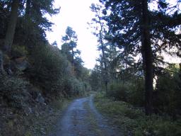 Sep 23 23:50:24 2000