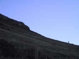 Sep 24 00:49:08 2000