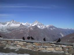 Sep 24 18:43:58 2000