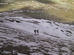 Sep 25 18:50:50 2000