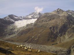 Sep 25 22:19:52 2000