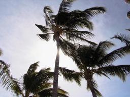 Nov 29 06:19:26 1999