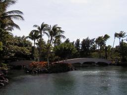 Nov 29 06:34:58 1999