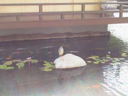 Nov 29 09:59:12 1999