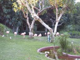 Nov 30 02:21:14 1999